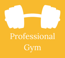 Professional gym